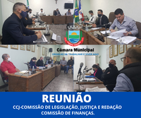 Comissões se reúnem para discutir os projetos de lei Nº 057/2021 e 056/2021