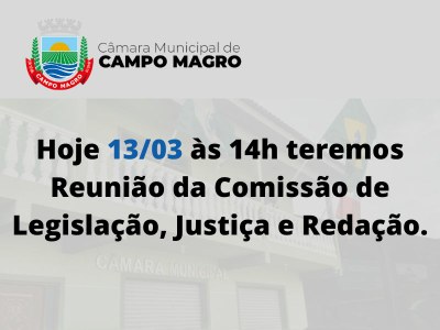 Reunião da Comissão 13/03